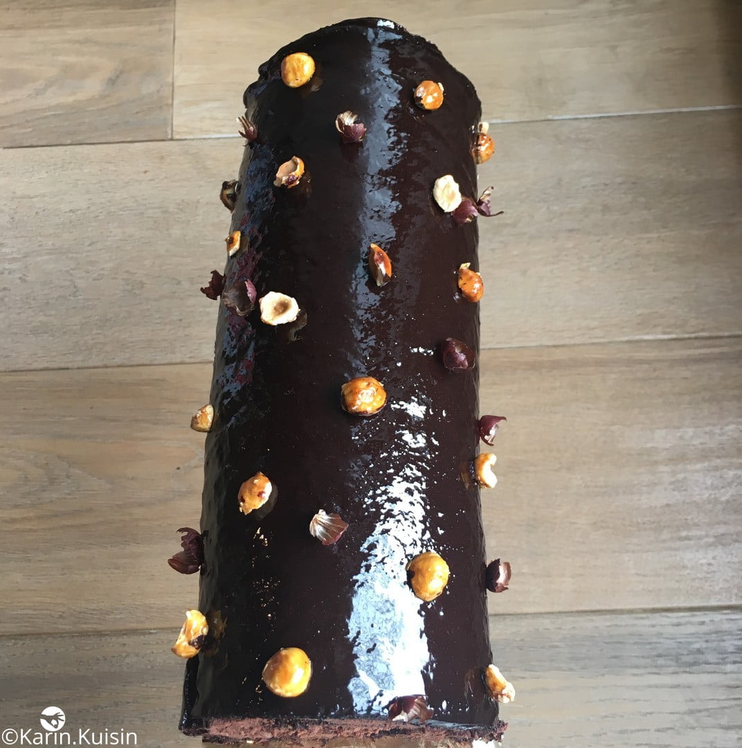 bûche roulé chocolat fruit sec