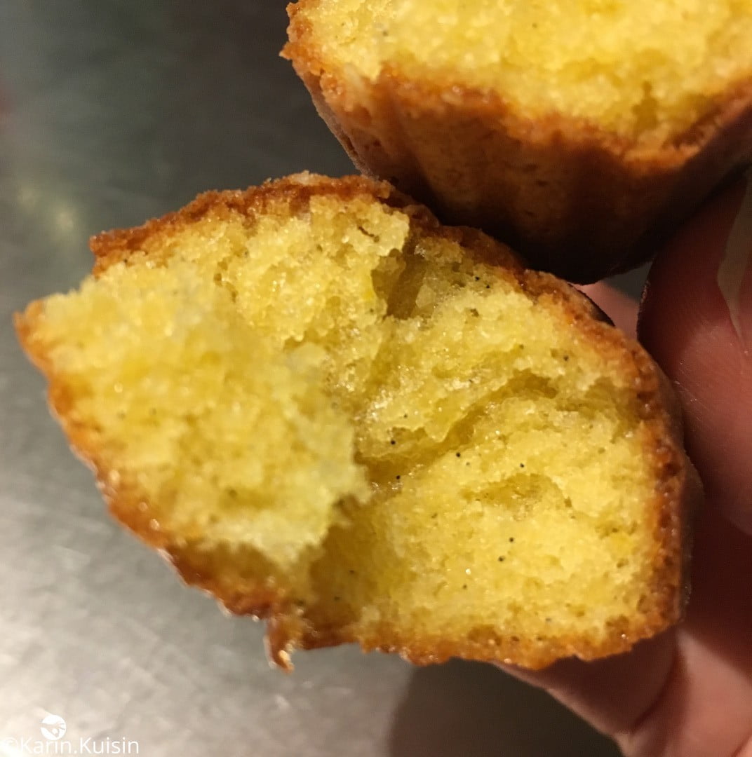 madeleine