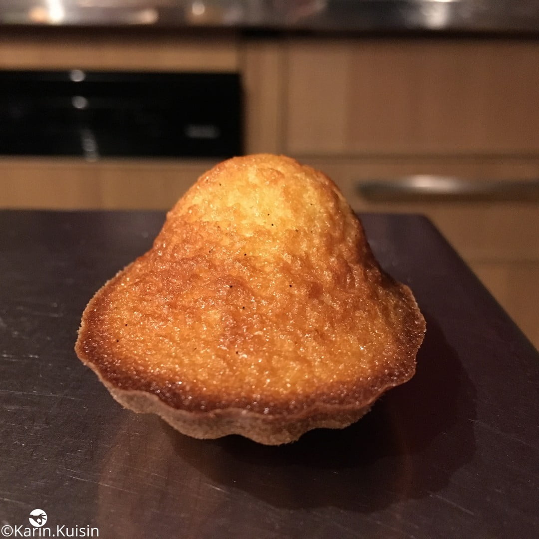 madeleine