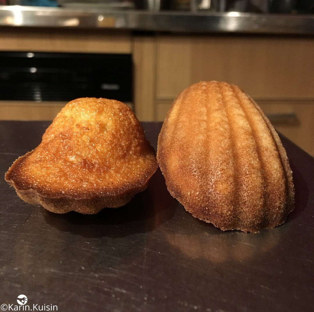 madeleine