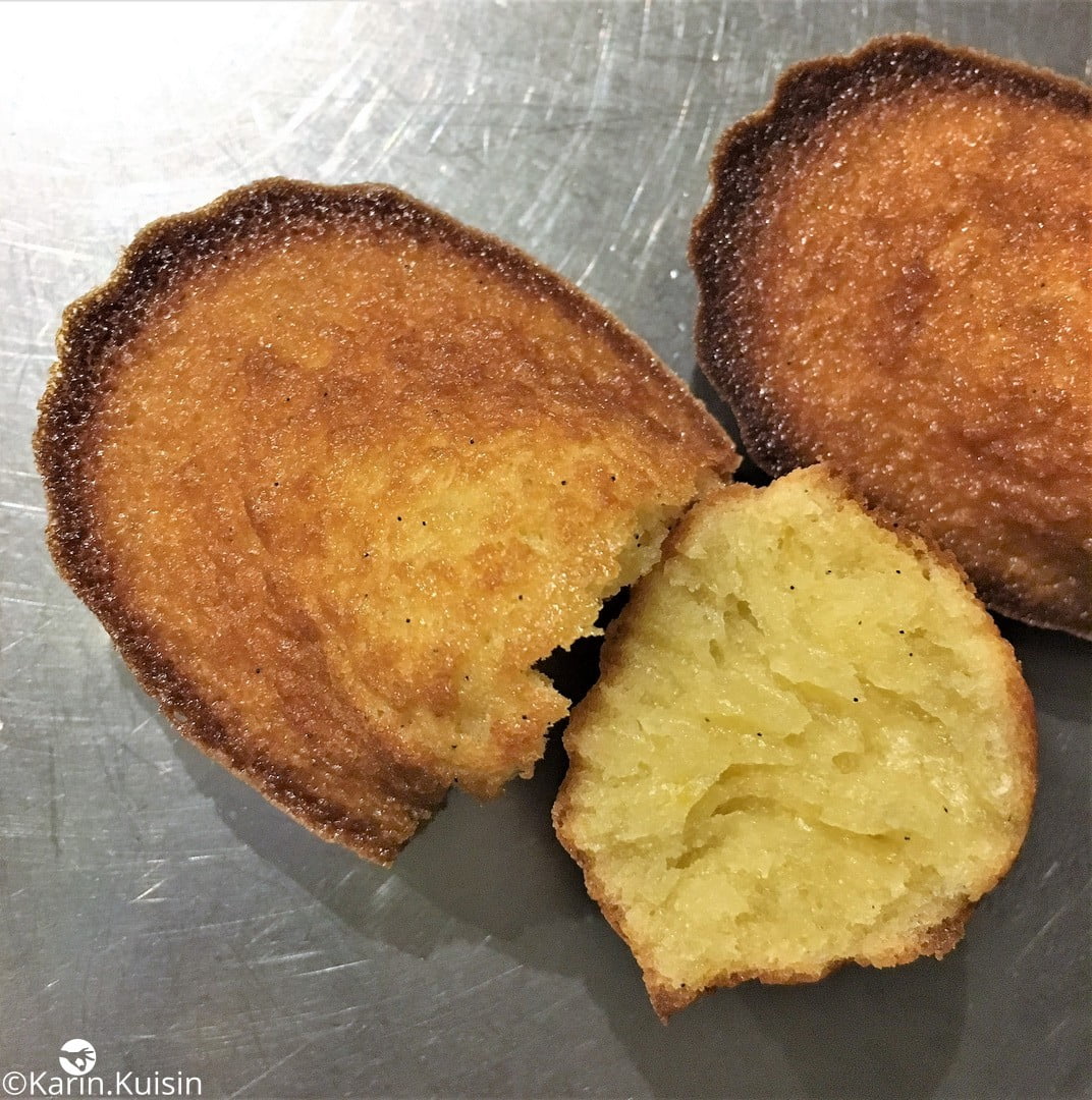 madeleine