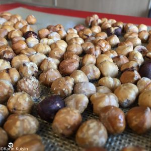noisette torrefiée