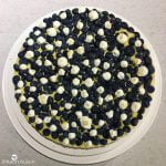 tarte myrtille final