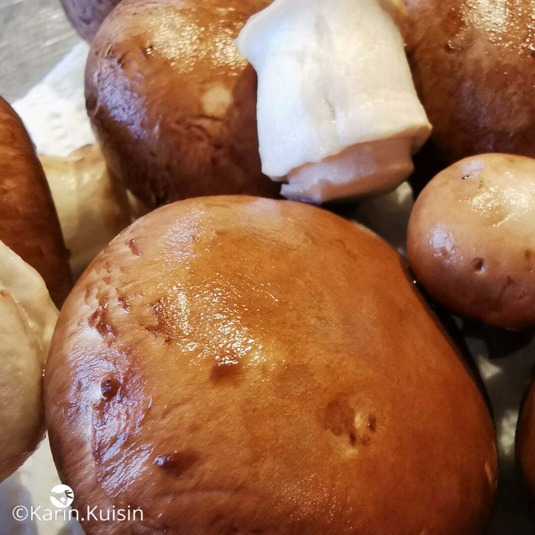 champignon paris ingrédient