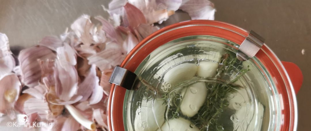 ail confit fermenter