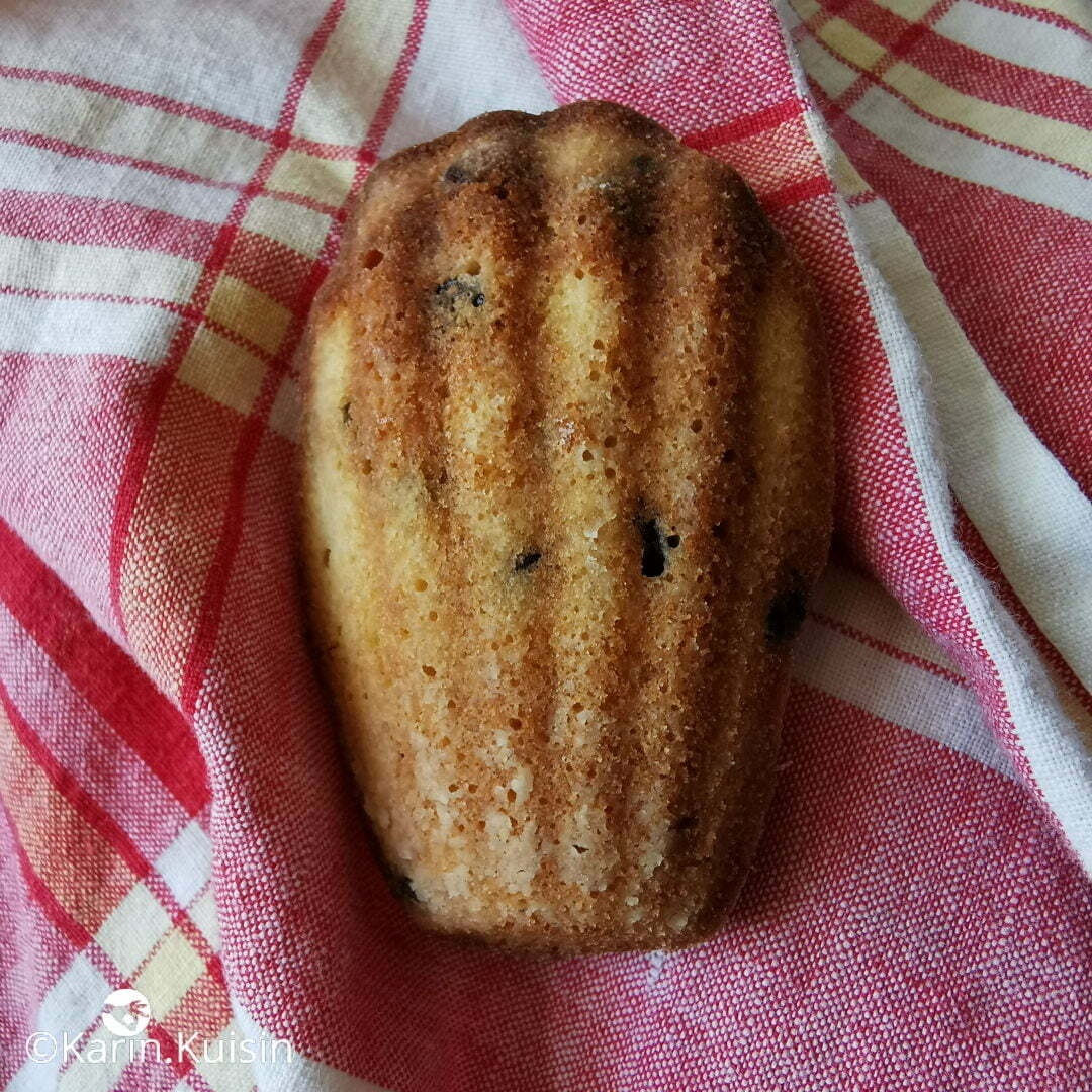 madeleine final