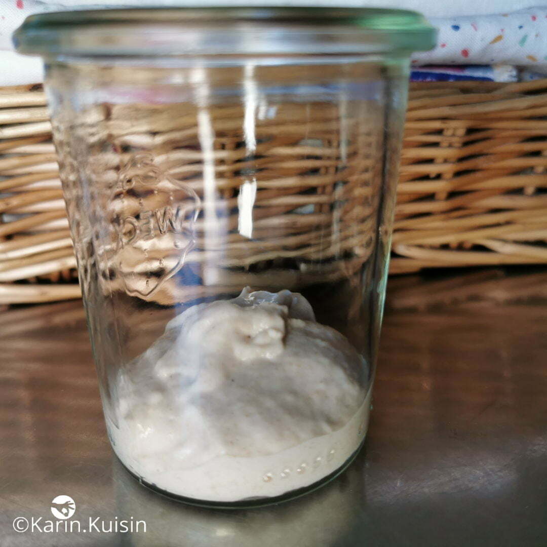 levain rafraichir