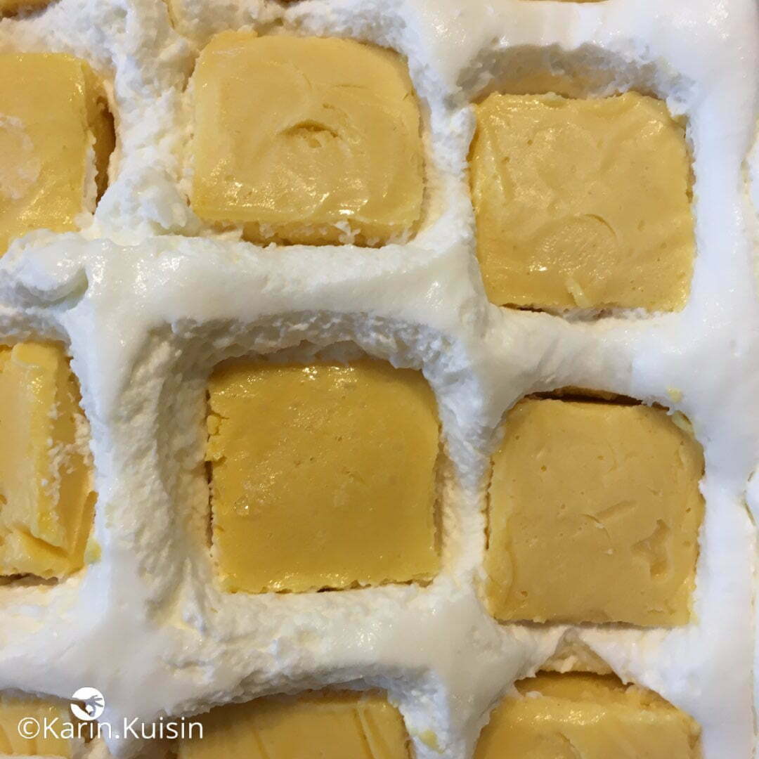 mousse coco insert passion