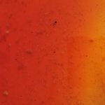 crème caramel William Lamagnère