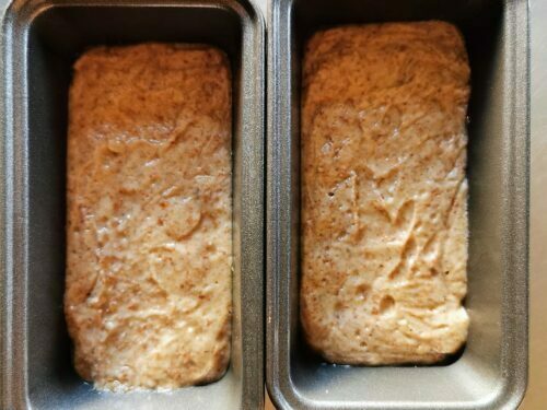 appareil cake moule