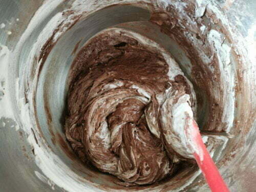 appareil molly cacao poudre ajouter