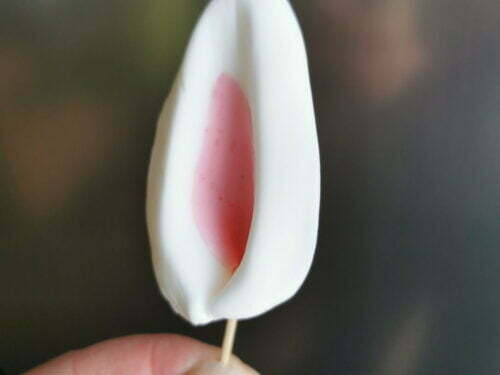 oreille licorne