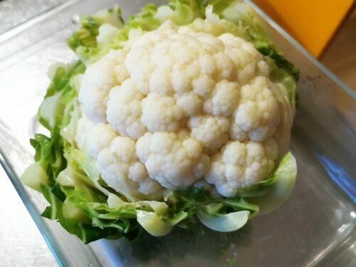 chou-fleur plat poser