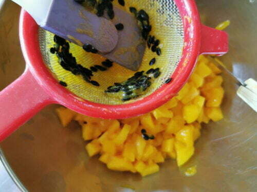 mangue passion filtrer
