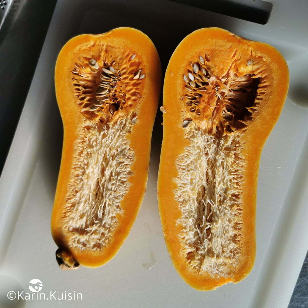 courge couper