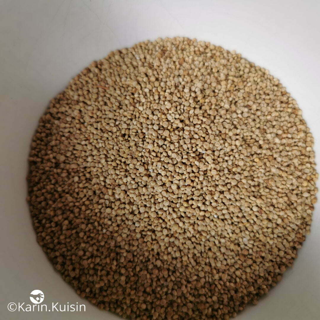 quinoa ingrédient