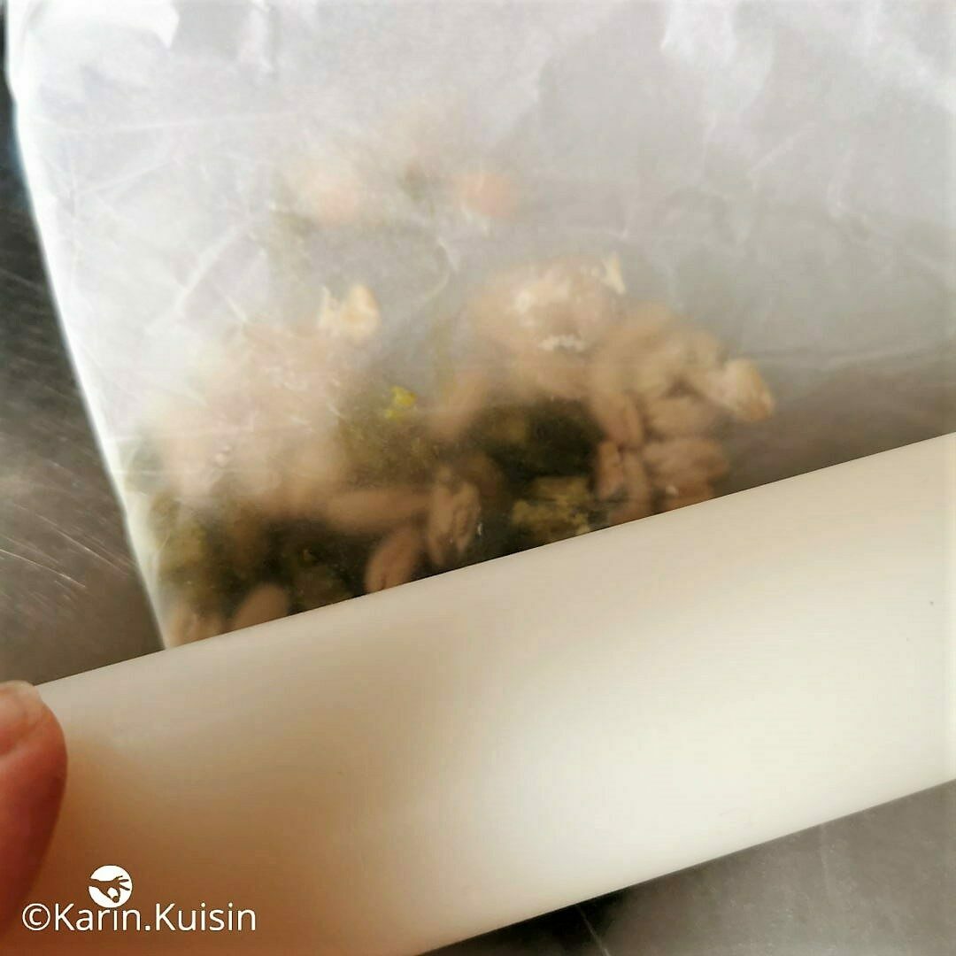pignon pistache concasser