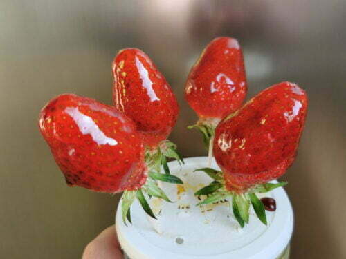 caramel balsamique fraise décor
