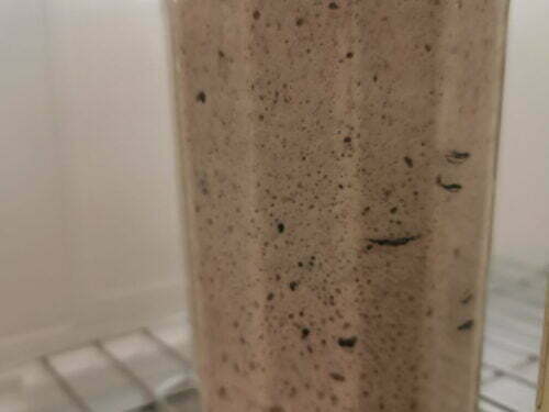 levain seigle rafraichir 2