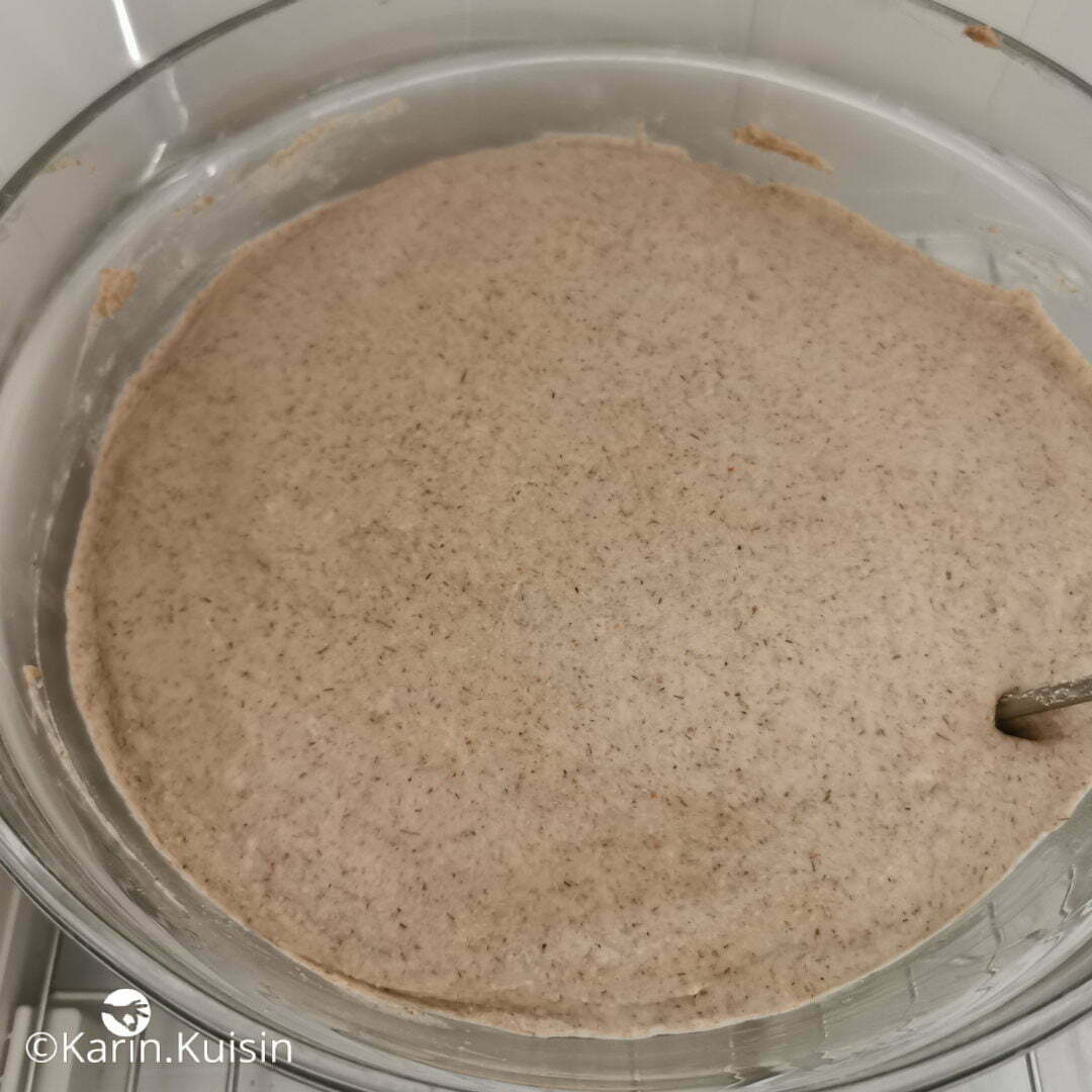 tourte seigle pousse