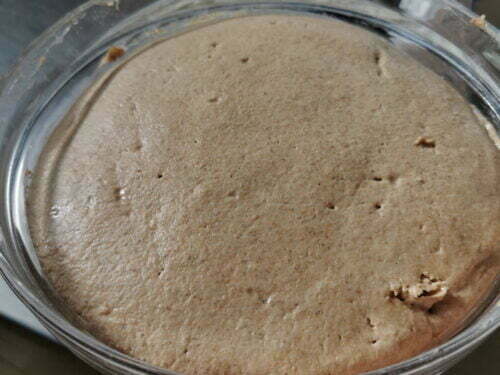 tourte seigle fin pousse repère