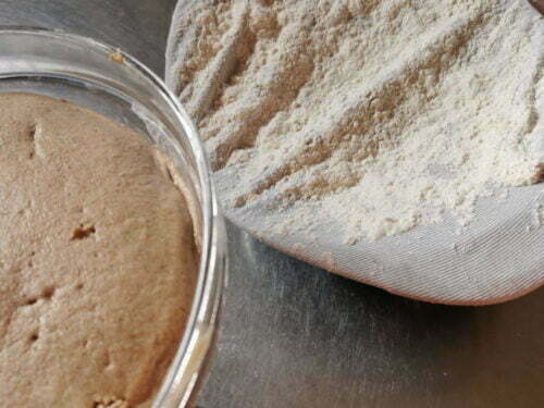 tourte seigle fin pousse repère