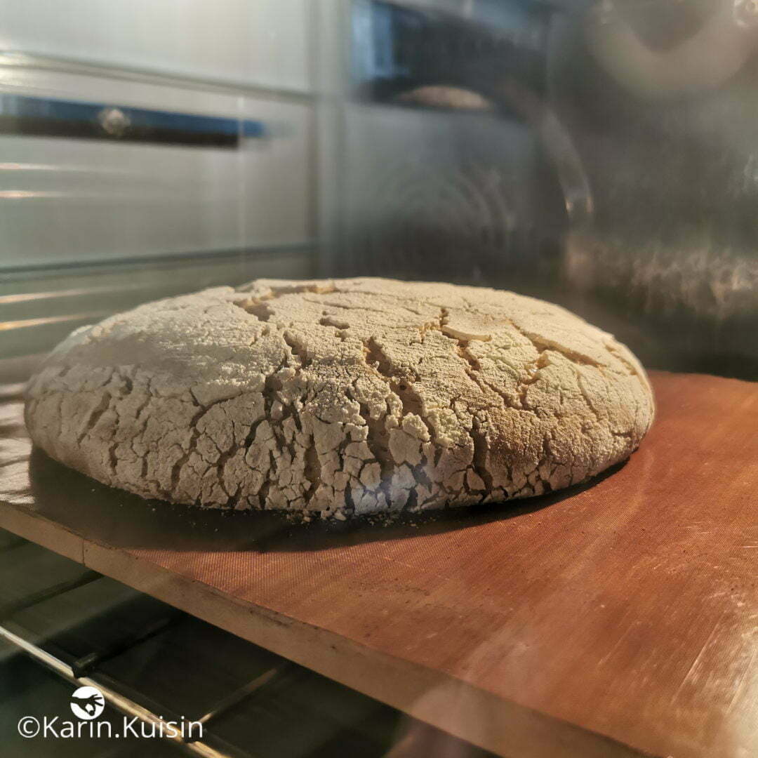 tourte seigle enfourner