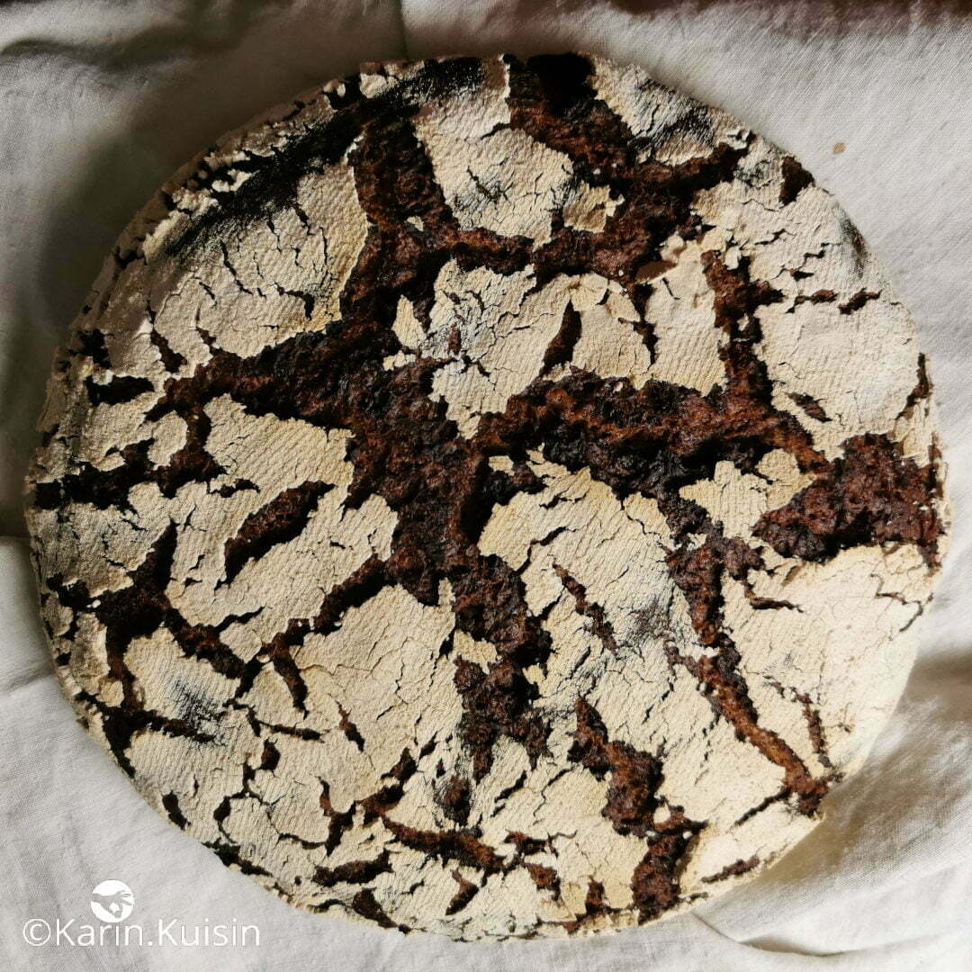 tourte seigle levain final