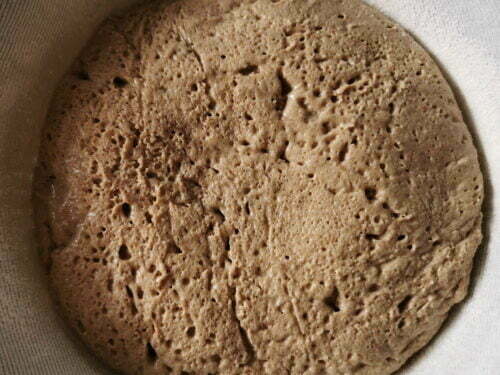 tourte seigle apprêt