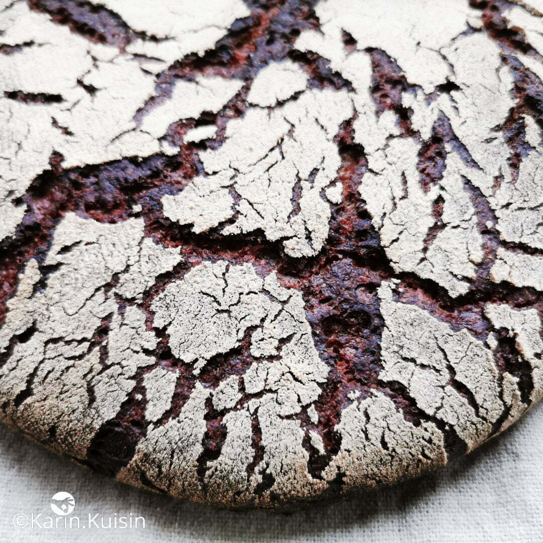 tourte seigle levain final