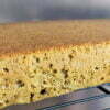 cake thé matcha final