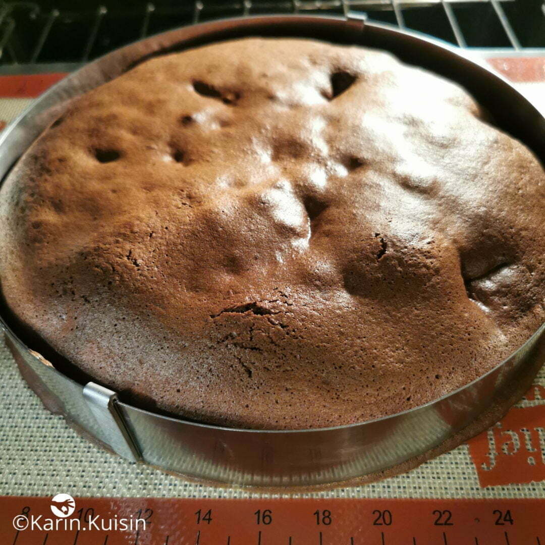 appareil biscuit chocolat cuisson