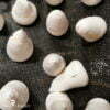fantôme meringue pocher