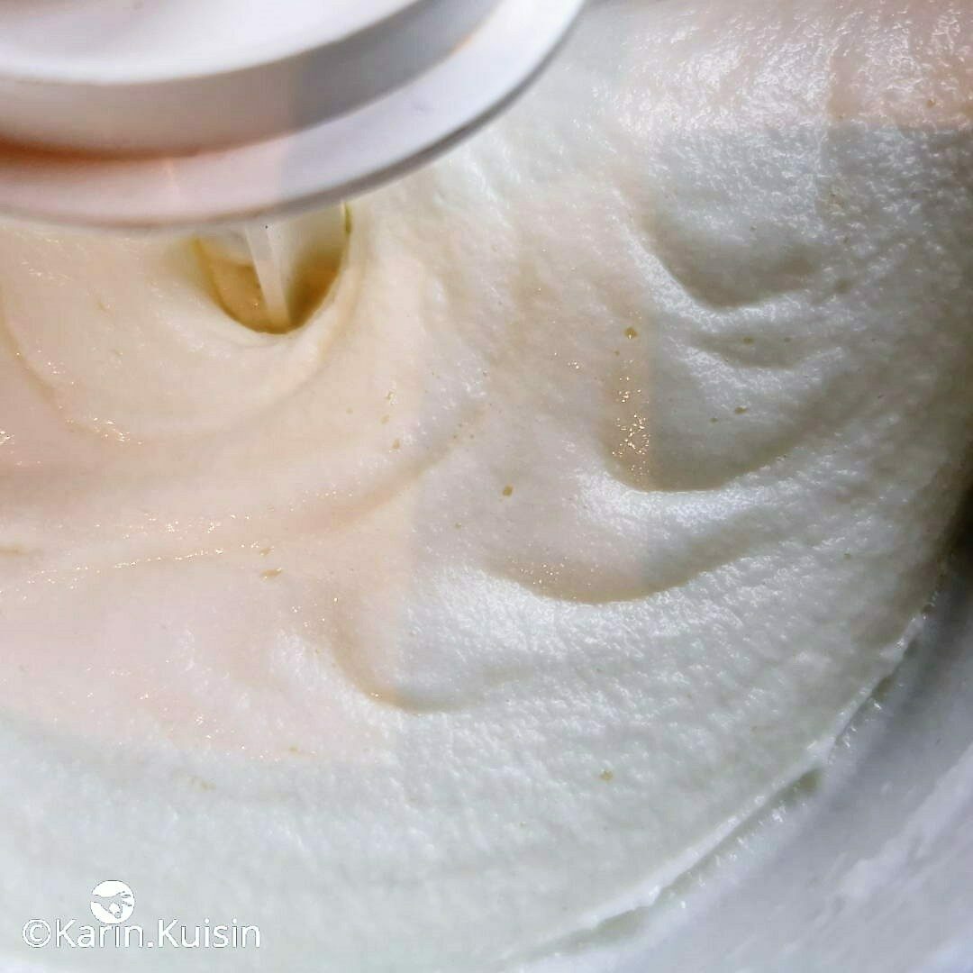 sorbet lait ribot sorbetière