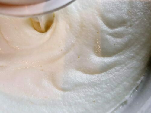 sorbet lait ribot sorbetière