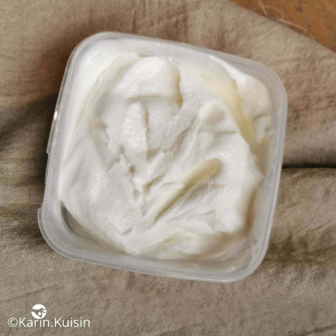 sorbet glace lait ribot fermenté final
