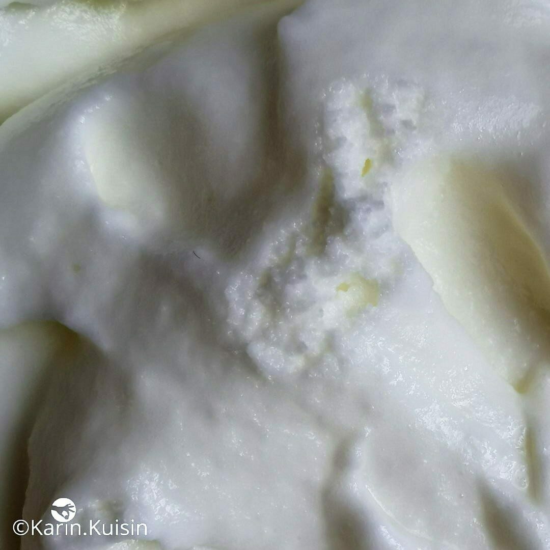 sorbet glace lait ribot fermenté final