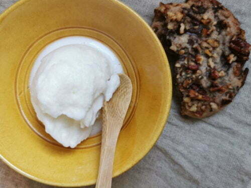 sorbet glace lait ribot fermenté final