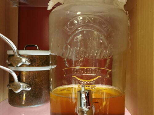 fermentation kombucha