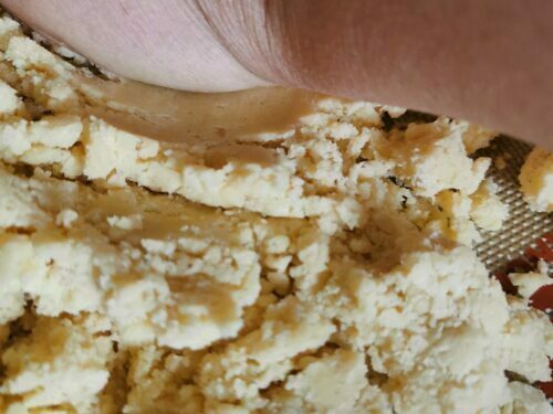 pâte biscuit vanille fraser