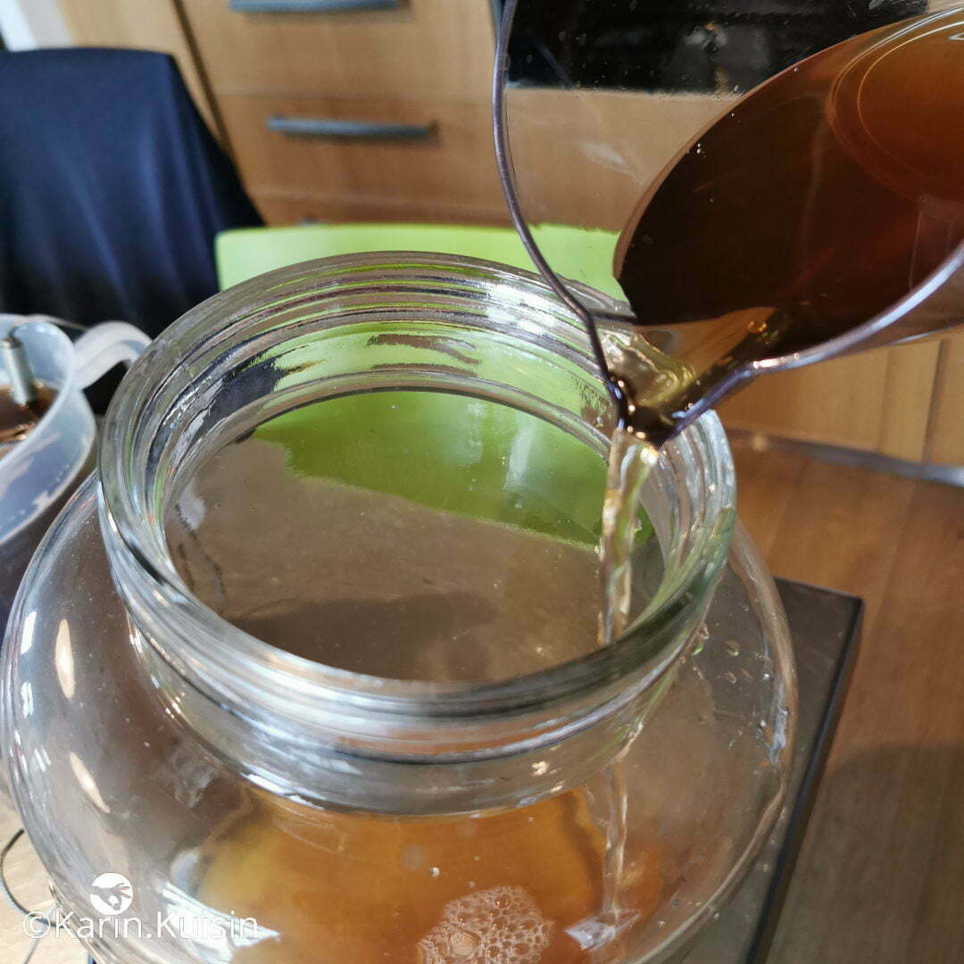 kombucha thé verser