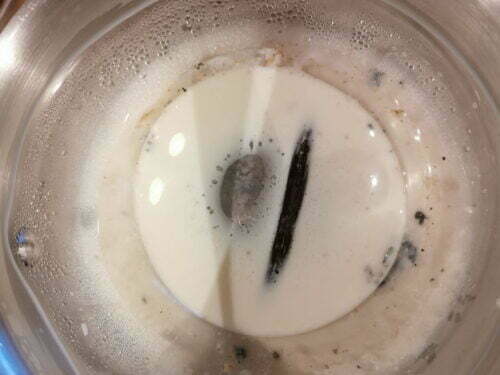 lait vanille infuser