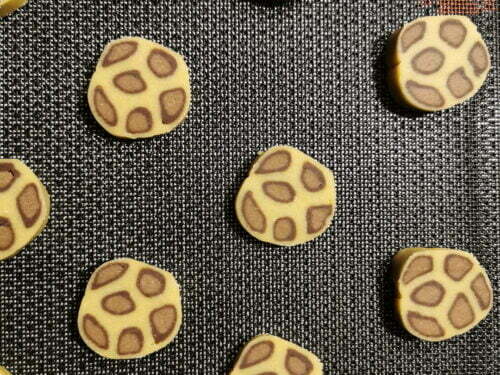 biscuit léopard tapis cuisson