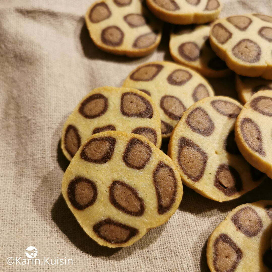 biscuit sablé léopard