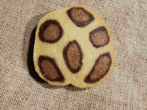 biscuit sablé léopard