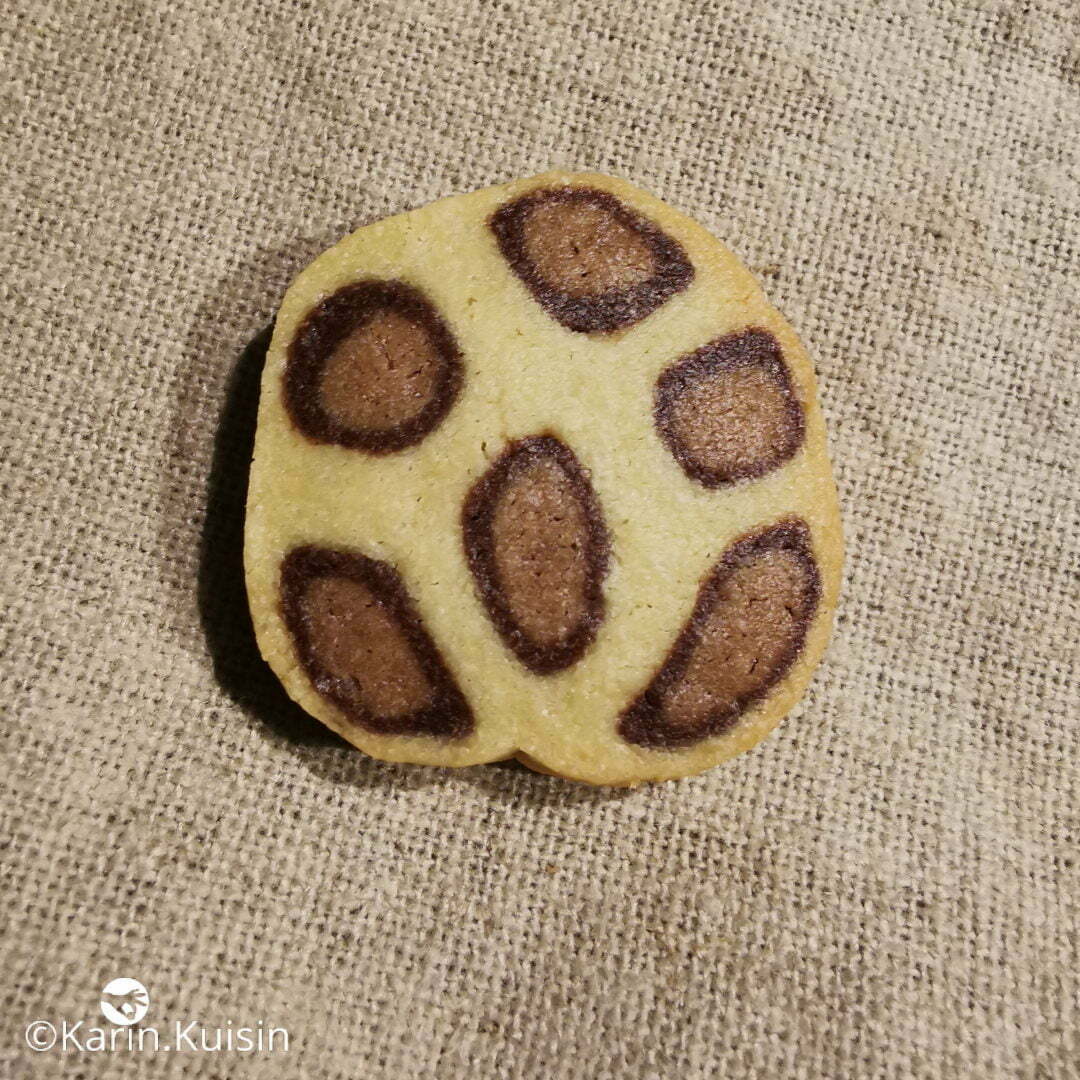 biscuit sablé léopard