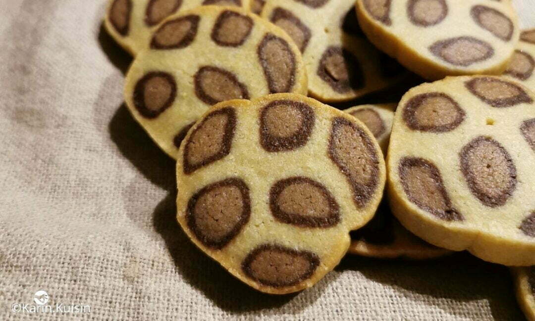 biscuit sablé léopard