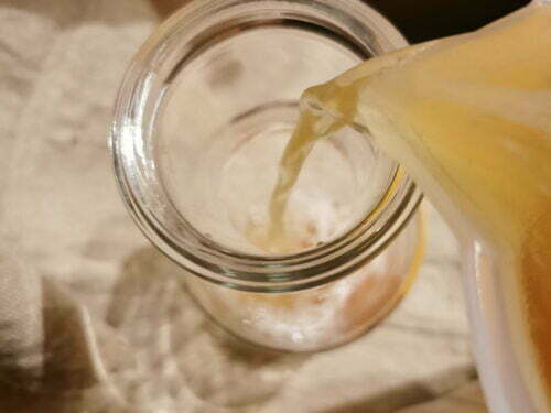 kombucha bouteille verser