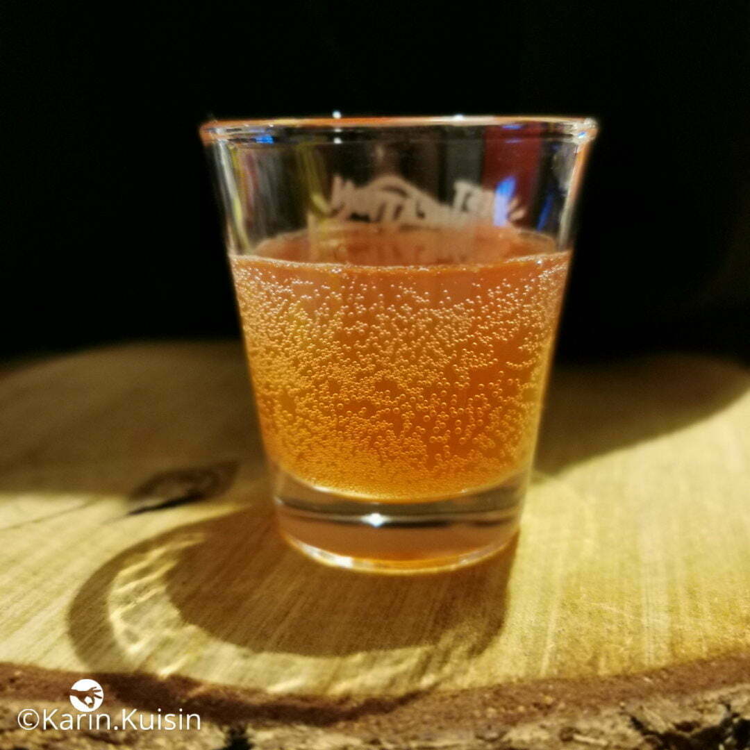 kombucha