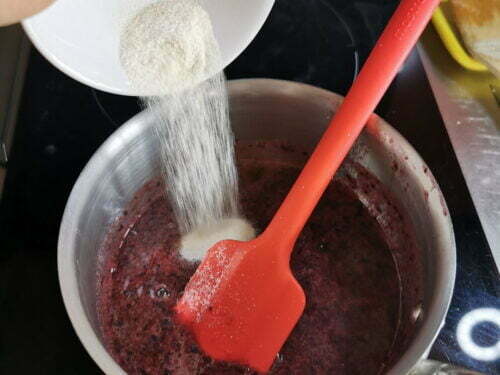 myrtille sucre pectine verser